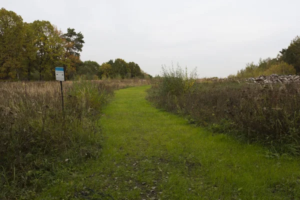Gri gökyüzü arka planında iki çayır tarlası arasında çim patikası geçidi yolu var. Meshersky Orman Parkı. Moskova, Rusya