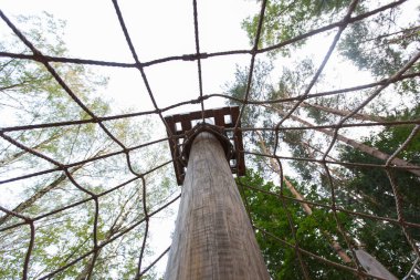 children's playground made of eco-friendly materials. Wooden tree trunks and ropes spider web net climber. Meshersky park in a pine forest. Moscow. Russia 