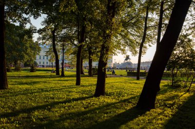 orange yellow sunset light shining through trees on green grass of a field forming contrast black silhouettes and dramatic dark shadows. Golden hour, Alexander Garden park. Saint Petersburg, Russia