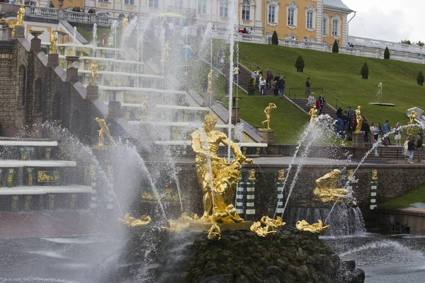 Peterhof Saint Petersburg ロシア 2021サムソンの壮大なカスケードとサムソン噴水の黄金の彫刻は 後ろの宮殿でライオンの顎を開けます 曇りの日の景色を閉じて — ストック写真