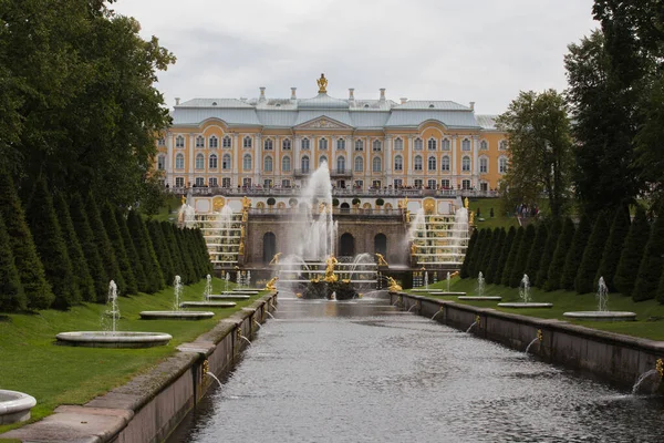 Peterhof Saint Petersburg ロシア 2021曇りの灰色の空の日に背景にグランドカスケードとサムソン噴水黄金の彫刻と宮殿と水の運河を設立 — ストック写真