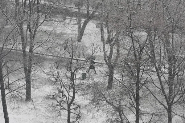 Çıplak Ağaçlar Dallarla Kaplı Bir Park Yolunda Yürüyen Bir Adam — Stok fotoğraf