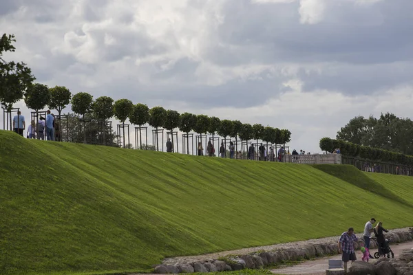 Peterhof Russland 2021 Reihe Gepflegter Tilia Bäume Reih Und Glied — Stockfoto