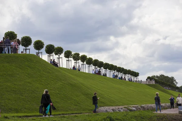 Peterhof Russland 2021 Reihe Gepflegter Tilia Bäume Reih Und Glied — Stockfoto