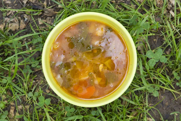 Zupa Kurczaka Shchi Warzywami Tym Marchew Cebula Kapusta Szpinak Liście — Zdjęcie stockowe