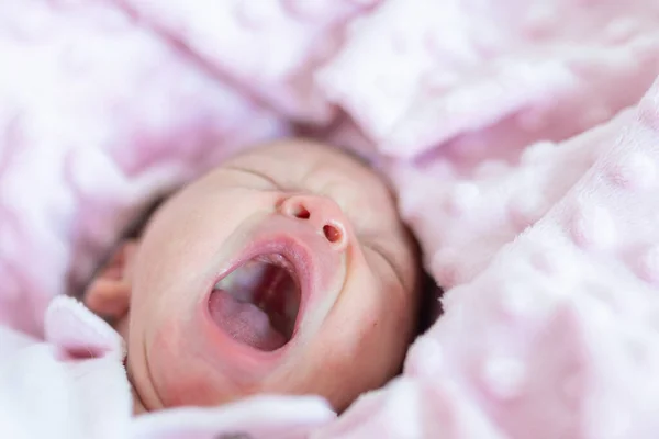 可爱的新生儿 紧闭的眼睛 打着呵欠 睡在用粉红毯子包裹的婴儿床里 — 图库照片