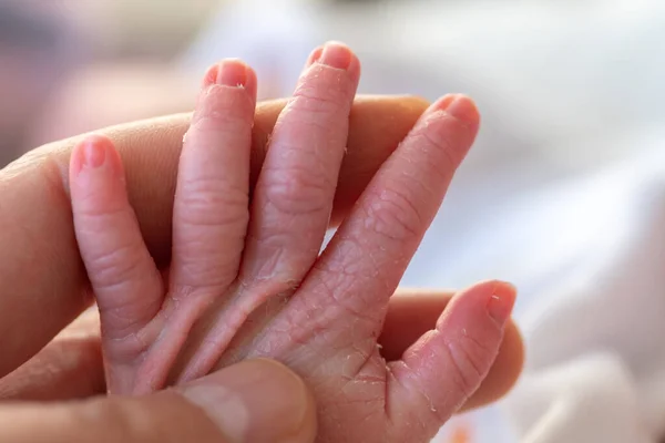 Hand Father Holding Small Hand His Newborn Baby Concept Care — Stock Photo, Image