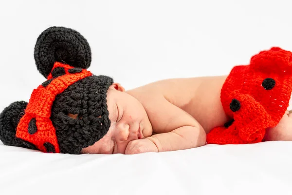 Studio Photography Newborn Baby Days Life Dressed Little Mouse Hat — 图库照片