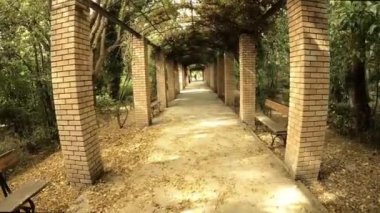 Kamera hareketini, bitkilerle dolu bir kemerin içine park 45 'liğinin yavaş çekim görüntülerine doğru it..