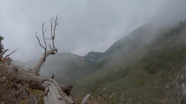 時間経過ビデオは山の峡谷の中の重い霧を示しています — ストック動画