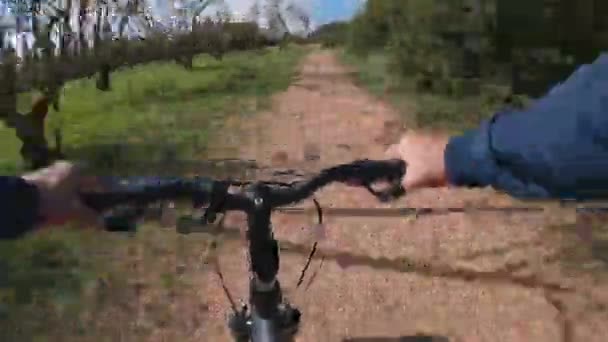 Pov Time Lapse Video Osoby Jeżdżącej Rowerze Polnej Drodze Parku — Wideo stockowe