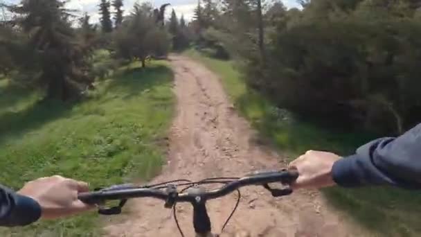 Vista Panorámica Una Persona Montando Bicicleta Camino Tierra Parque Día — Vídeos de Stock