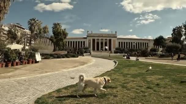 Athènes Grèce Février 2022 Images Montre Musée Archéologique National Athènes — Video