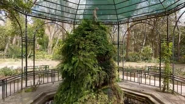 Kameranın Hareketini Yakınlaştır Atina Daki Ulusal Bahçe Metalik Bir Tepe — Stok video