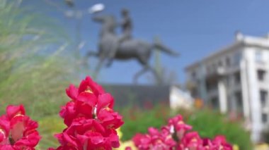 Kırmızı çiçekten Büyük İskender 'in Atina, Yunanistan' daki atının üzerindeki heykeline geçişe odaklan. Arka planda mavi gökyüzü.