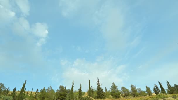 時間経過ビデオフォーム低角度は ヒノキのドレスで丘のピークの上を通過雲を示しています — ストック動画