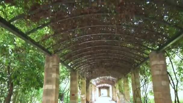 Push Forward Movement Camera Arch Full Plants National Garden Athens — Stok video