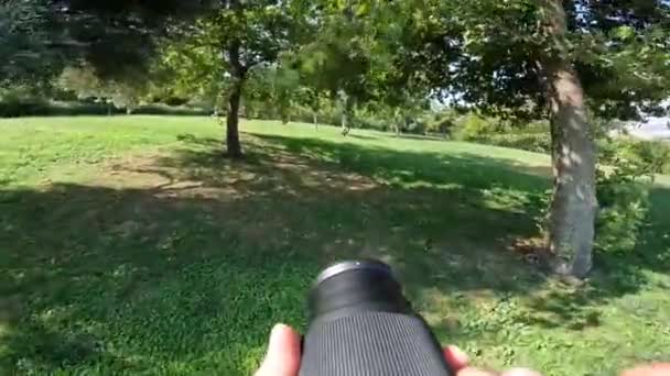 Pessoa Segura Uma Câmera Tira Fotos Parque Com Lente Telefoto — Vídeo de Stock