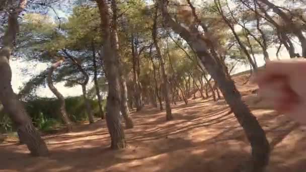 Shaky Footage Person Running Trees Pov Footage — ストック動画