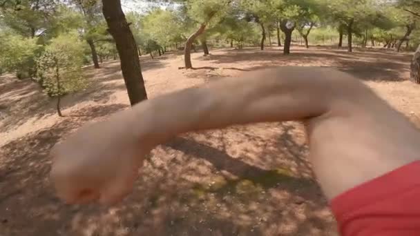 Pov Footage Person Shadowboxing Forest Bare Hands — Vídeo de Stock