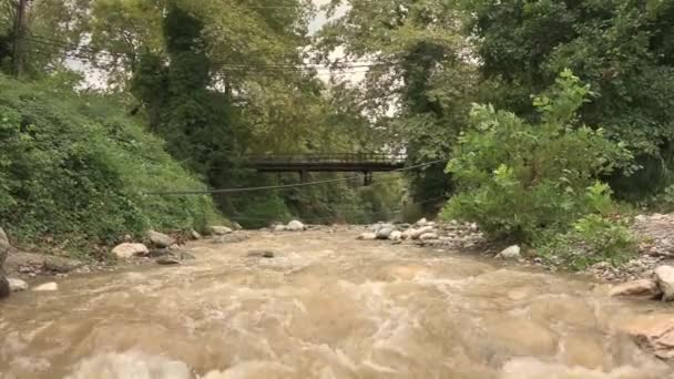 Profile View Video Shows Stream Flowing Water Soil Heavy Rainfall — Stock Video