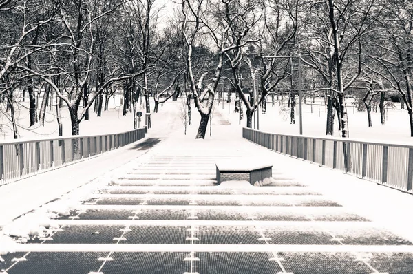 Neve Cobriu Rua Vazia Após Queda Neve Parque Público Cidade — Fotografia de Stock