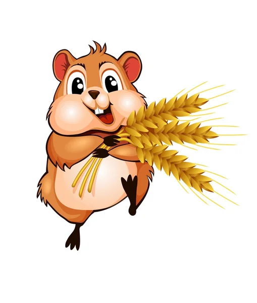 Hamster with three ears of wheat — Stock Vector