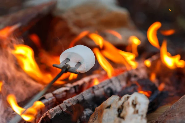 Marshmallow Lagerfeuer Rösten Beim Zelten Wald Verwenden Reisende Brennholz Das — Stockfoto