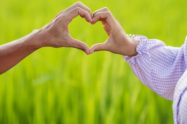 Casais Namorados Exibem Símbolo Coração Para Simbolizar Seu Amor Bondade — Fotografia de Stock
