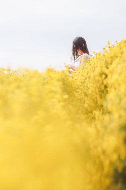 Sarı Kasımpatı Çiçek Bahçesi, krizantem çayı yapıldığında sağlığa yardımcı olan bitkisel bahçelerden biri olarak kabul edilir ve turistler arasında popüler olan eşsiz bir aroması vardır..