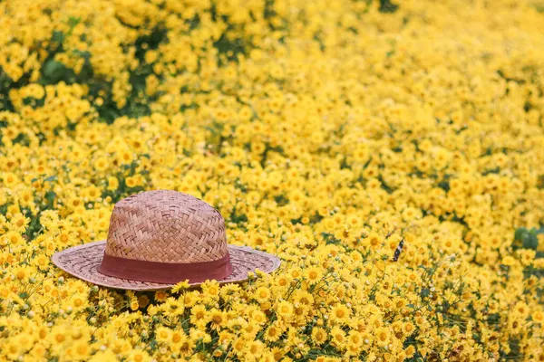 Бамбуковая Шляпа Ремесленные Изделия Помещены Поле Ярко Желтые Цветы Хризантемы — стоковое фото
