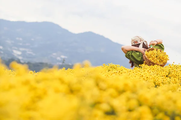 Eine Gruppe Junger Touristinnen Bewundert Die Schönheit Des Leuchtend Gelben — Stockfoto