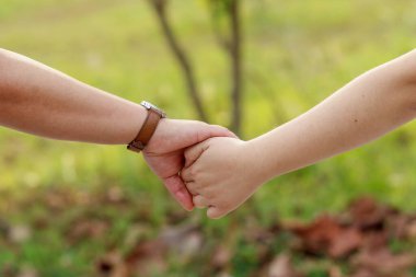 Çiftler koridorda el ele yürüyorlar doğanın güzel manzarasını mutlu görmek için ve sevgilisi sevgilisine sevgililer gününde aşk söylemek ve evlenme teklif etmek istiyor..