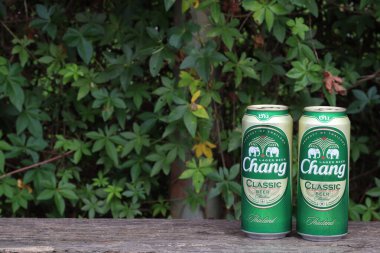 Chiang Mai Tayland 11 Ağustos 2021 Tayland 'da popüler bir alkollü içecek güzel bir yeşil yaprak arka planında duran büyük bir kutu Chang birasıdır. Chang birası Tayland 'da çok popüler bir biradır.