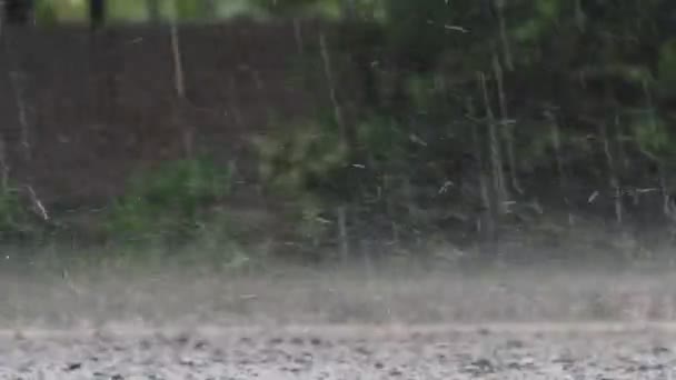 Video Scrambled Storm Heavy Rain Rainy Season Causes Flooding Pavement — Stockvideo