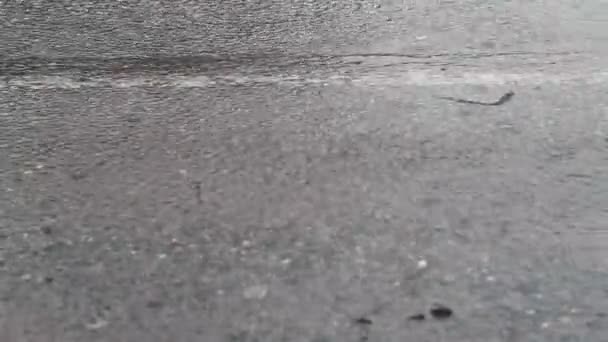 Video Scrambled Storm Heavy Rain Rainy Season Causes Flooding Pavement — Stock videók