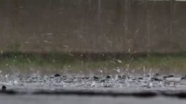 The video is scrambled.,The storm of heavy rain during the rainy season causes flooding on the pavement surface. Drops of rain from the water surface on the road surface are seasonal rain.