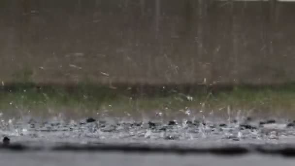 Video Scrambled Storm Heavy Rain Rainy Season Causes Flooding Pavement — Vídeo de Stock