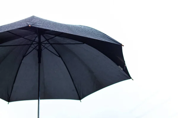 The black umbrella was prepared as the weather forecast suggested it would rain, and the rain umbrella was used according to the instructions. black umbrella unfolded on a white background