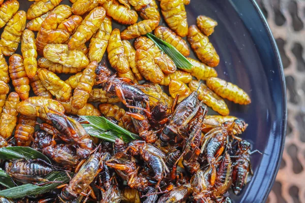 Krispiga Insekter Serveras Svarta Keramiska Plattor Placerade Bord Stål Galler — Stockfoto