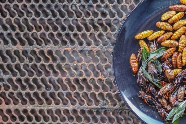 Krispiga Insekter Serveras Svarta Keramiska Plattor Placerade Bord Stål Galler — Stockfoto