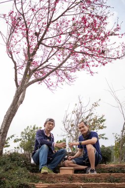 Chiang Mai Thai 18 January 2022 Two men who are close friends are drinking long can of Chang beer under beautiful pink cherry blossom tree in morning and are drinking beer wanting to be happy together.