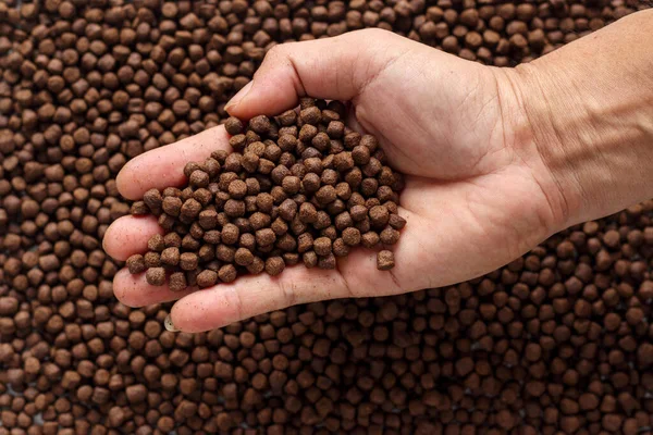 Animal feed mixed from finely ground protein powders of both plants and animals is pelleted to be used as pet food because pellets are convenient and accurate in feeding quantity.Copy Space background