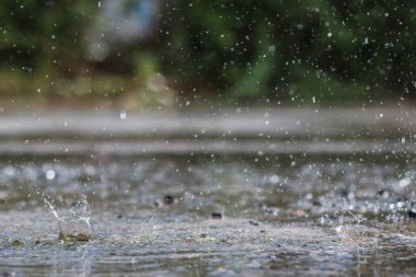 Şiddetli sağanak yağış bölgeyi pompaladı ve sağanak yağış büyük miktarlarda yağış ve zamanında su akıtma yetersizliğine yol açtı..