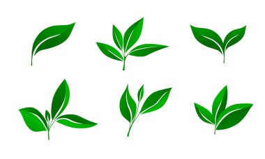 İzole yapraklar, filizler ve dallar. Çevre koruma kavramı, ekoloji