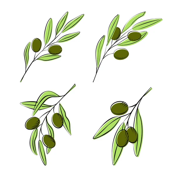 Ramas con aceitunas verdes. Un conjunto de bocetos de aceitunas con hojas. Ilustraciones para etiquetas de aceite, utensilios de cocina, platos, textiles — Vector de stock