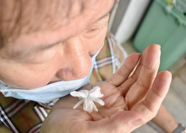Southeast Asian, Chinese and Myanmar old man with cold flu gets loss of smell called anosmia. He smells scent of jasmine flower clipart