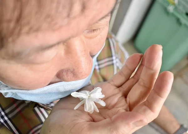 Southeast Asian, Chinese and Myanmar old man with cold flu gets loss of smell called anosmia. He smells scent of jasmine flower