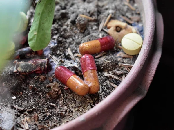 Medicamentos Caducados Utilizados Como Fertilizante Vista Cerca —  Fotos de Stock