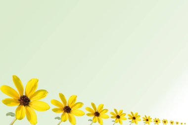 Sistem Fotovoltaik yenilik sürdürülebilir elektrik üretimi